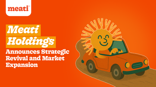 Blog banner with a meati mascot, a smiling sun, sitting in a car with the blog title beside it.