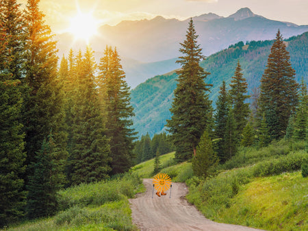 Big Flavor, Tiny Footprint: Our Life Cycle Assessment Is In