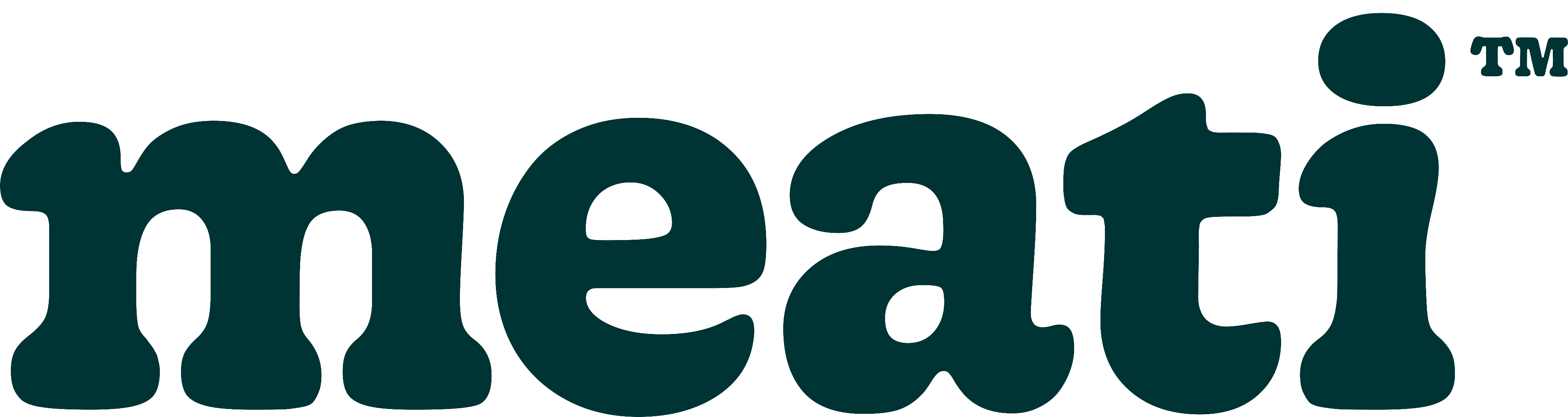 Footer Logo